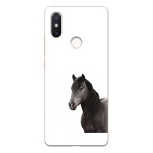 Чехлы с Лошадью дляXiaomi Mi8 Special Edition (VPrint) (Черный Конь)