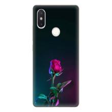 Чехлы с принтом Розочки для Xiaomi Mi8 Special Edition – Ночная роза