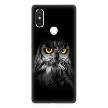 Чехлы с принтом СОВЫ для Xiaomi Mi8 Special Edition – Сова на чёрном