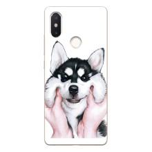 Чохли з собаками для Xiaomi Mi8 Special Edition (VPrint) – Радісний Хаскі