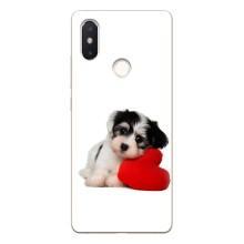 Чохли з собаками для Xiaomi Mi8 Special Edition (VPrint) – Песик