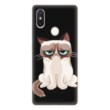 Чехол на тематику: Коты для Xiaomi Mi8 Special Edition – Взгляд кота