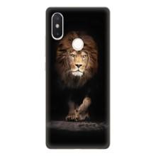 Чехол с картинкой на Xiaomi Mi8 Special Edition – Красивый Лев