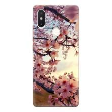 Чехол с принтом САКУРЫ на Xiaomi Mi8 Special Edition – Цветущая сакура
