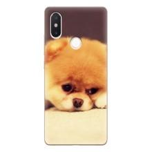 Чехол (ТПУ) Милые собачки для Xiaomi Mi8 Special Edition – Померанский шпиц