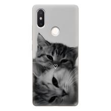 Чохол з малюнком кіт на Xiaomi Mi8 Special Edition – Пара котів