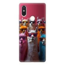 Чохол з принтом стильні тварини для Сяомі Мі8 СЕ – Лами в окулярах