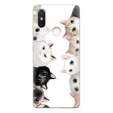 Силиконовый чехол с котиком для Xiaomi Mi8 Special Edition – Коты
