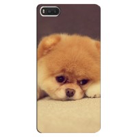 Чехол (ТПУ) Милые собачки для Xiaomi Mi8 – Померанский шпиц