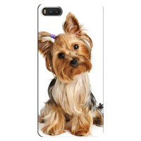 Чехол (ТПУ) Милые собачки для Xiaomi Mi8 – Собака Терьер