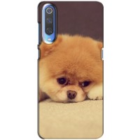 Чехол (ТПУ) Милые собачки для Xiaomi Mi 9 (Померанский шпиц)