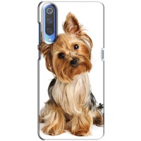Чехол (ТПУ) Милые собачки для Xiaomi Mi 9 – Собака Терьер