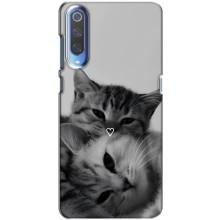 Чехол с рисунком кот на Xiaomi Mi 9 – Пара котов