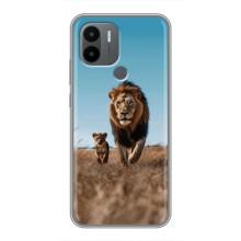 Чехол Король лев на Поко С50 – Мусафа и Симба