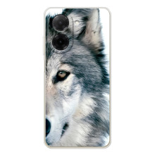 Чохли з картинкою животних Xiaomi Poco C71 (Вовк)