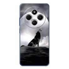Чехол с Волком на Xiaomi Poco C75 – Волк и луна