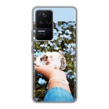 Чехлы с изображением разных животных для Xiaomi POCO F4 (5G) (Ежик на руках)
