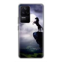 Чехлы с изображением разных животных для Xiaomi POCO F4 (5G) (Лошадь)