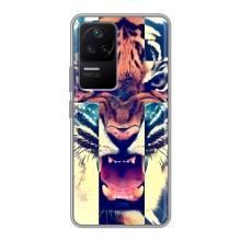 Чехлы с изображением разных животных для Xiaomi POCO F4 (5G) (Яркий Тигр)