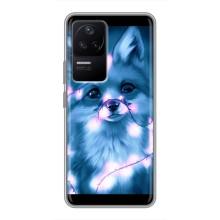 Чохли з картинкою Лисичка для Xiaomi POCO F4 (5G) (VPrint) – Яскрава лисичка