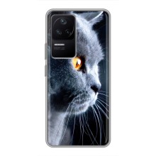 Чехлы с Котиками для Xiaomi POCO F4 (5G) (VPrint) (Серый Кот)