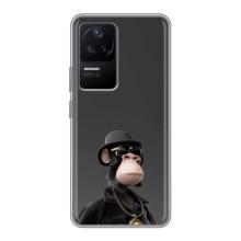 Чохли з Мавпами NFT для Xiaomi POCO F4 (5G) (AlphaPrint) (Мавпа NFT)