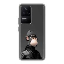 Чохли з Мавпами NFT для Xiaomi POCO F4 (5G) (AlphaPrint) (стильна мавпа NFT)