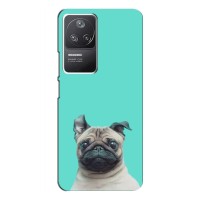 Бампер для Xiaomi POCO F4 (5G) з картинкою "Песики" – Собака Мопсік