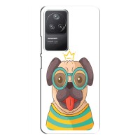 Бампер для Xiaomi POCO F4 (5G) с картинкой "Песики" (Собака Король)
