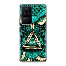 Чохол з пташками на Xiaomi POCO F4 (5G) (VPrint) (Сова з оком)