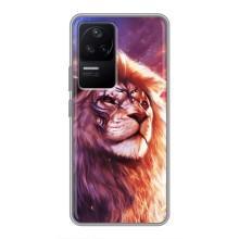 Чехол со Львом для Xiaomi POCO F4 (5G) (VPrint) (Красочный Лев)