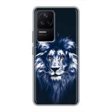 Чехол со Львом для Xiaomi POCO F4 (5G) (VPrint) (Синий Лев)