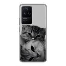 Чохол з малюнком кіт на Xiaomi POCO F4 (5G) – Пара котів