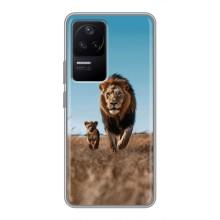 Чехол Король лев на Поко Ф4 (5G) (Мусафа и Симба)