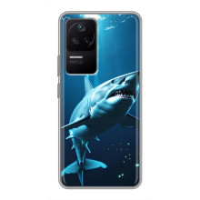 Чохол з картинкою 'Хижаки' для Xiaomi POCO F4 (5G) – Акула