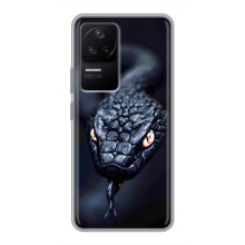 Чохол з картинкою 'Хижаки' для Xiaomi POCO F4 (5G) – Змія