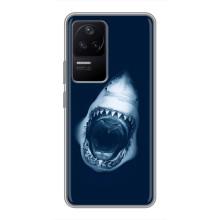 Силиконовый бампер с картинкой животных для Xiaomi POCO F4 (5G) (Пасть Акулы)