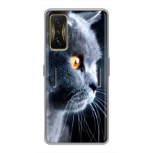 Чехлы с Котиками для Xiaomi POCO F4 GT (VPrint) (Серый Кот)