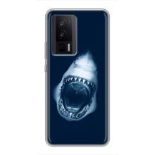 Силиконовый бампер с картинкой животных для Xiaomi POCO F5 Pro (Пасть Акулы)
