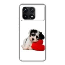 Чехлы с собаками для Xiaomi POCO F6 Pro (VPrint)