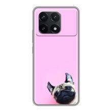 Чехлы с собаками для Xiaomi POCO F6 Pro (VPrint)