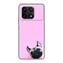 Бампер для Xiaomi POCO F6 Pro с картинкой "Песики" (Собака на розовом)
