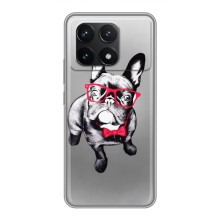 Чехол (ТПУ) Милые собачки для Xiaomi POCO F6 Pro (Бульдог в очках)