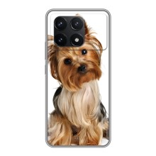 Чехол (ТПУ) Милые собачки для Xiaomi POCO F6 Pro (Собака Терьер)
