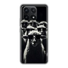 Чехол с принтом стильные животные для Поко Ф6 Про (Овечка в очках)