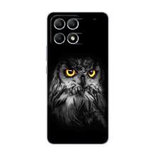 Чехлы с принтом СОВЫ для Xiaomi POCO F6 – Сова на чёрном