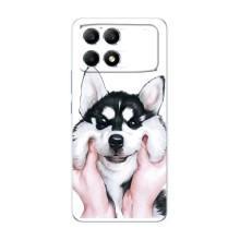 Бампер для Xiaomi POCO F6 з картинкою "Песики" (Собака Хаскі)