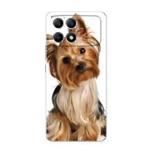 Чохол (ТПУ) Милі песики для Xiaomi POCO F6 (Пес Терьєр)