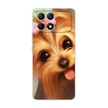 Чохол (ТПУ) Милі песики для Xiaomi POCO F6 (Йоркширський тер'єр)