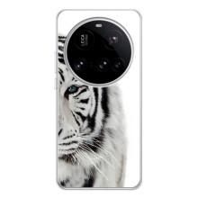 Чехлы с картинками животных Xiaomi POCO F7 Pro (Белый Тигр)